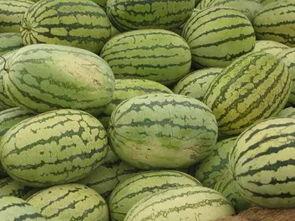 信阳摄影师吃瓜,捕捉生活中的“吃瓜”瞬间