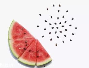 吃瓜偶尔不吐籽儿