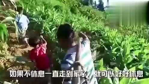 花雨洛吃瓜视频,揭秘娱乐圈幕后故事