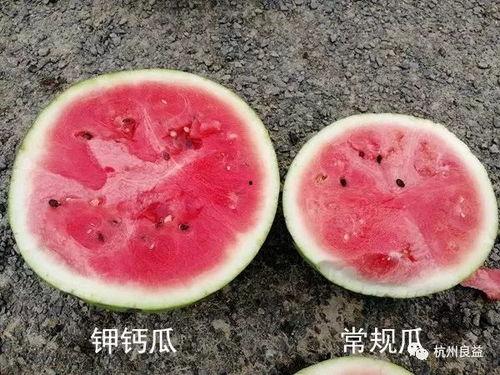 吃生瓜便血,揭秘饮食健康与肠道健康的关系