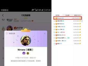 放假爆料吃瓜,吃瓜群众狂欢，放假爆料大揭秘