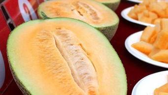 上海哈密瓜可以吃吗,美味可口的夏日佳品，放心享用