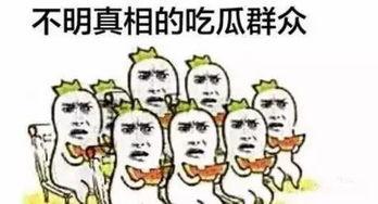带你吃瓜群众,带你领略吃瓜群众的独特魅力