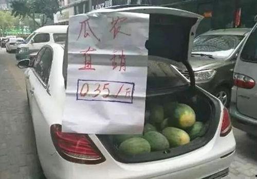 剑三吃瓜车,揭秘江湖风云背后的八卦秘闻