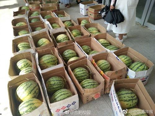 瓜地吃瓜学校,揭秘瓜地吃瓜学校的独特魅力