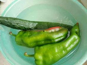 广西鸡瓜怎么吃,广西鸡瓜的多样食法探索