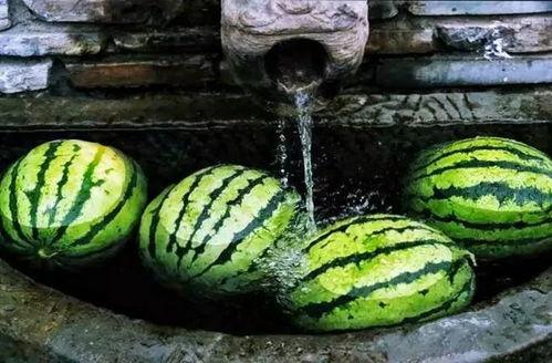 开始吃瓜了吗,从“开始吃瓜了吗”看明星幕后故事