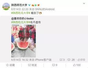 高校免费吃瓜网站,揭秘校园生活趣味瞬间