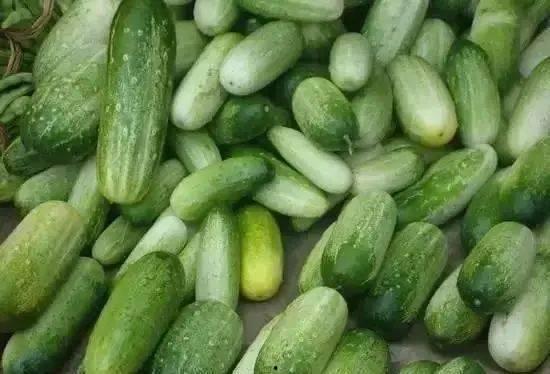 鼓隆族吃瓜,瓜果飘香中的传统美食之旅