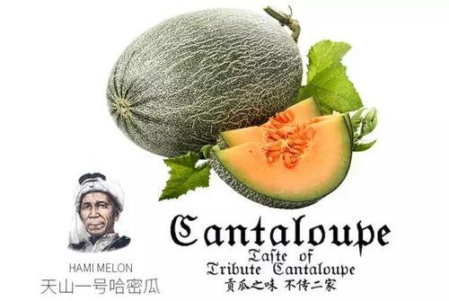 吃瓜八号,娱乐圈幕后风云大揭秘