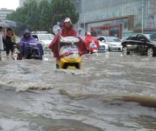 河南健身吃瓜事件视频,健身教练与网红的争议瞬间
