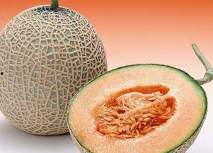 大力伦吃哈密瓜,一场味蕾的奇妙之旅