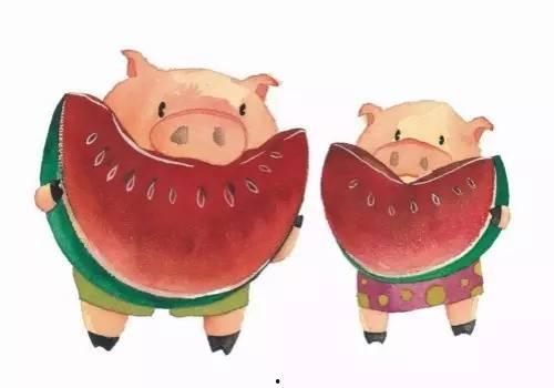 去长沙吃猪瓜,猪瓜的独特风味之旅