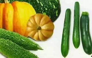 刚烈吃瓜,揭秘娱乐圈的麻辣鲜香