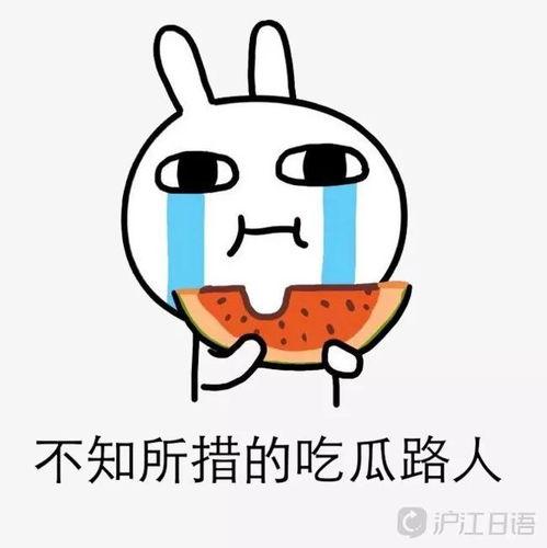 孙大圣吃瓜,一场奇幻的美食探险