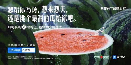 超绝吃瓜文案,一场娱乐狂欢的盛宴