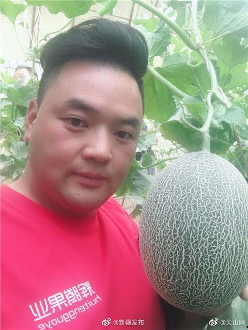 《吃瓜直播》带货,揭秘网红带货背后的秘密与魅力