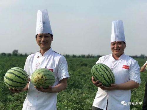 上马家吃瓜,一场别开生面的夏日盛宴