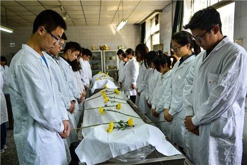 大体老师吃瓜,揭秘“大体老师”的神秘生活