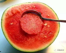 吃瓜圆勺,品味夏日清凉的秘密武器